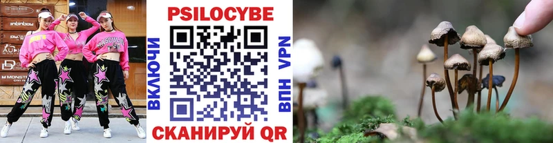 Псилоцибиновые грибы Magic Shrooms  Мещовск 